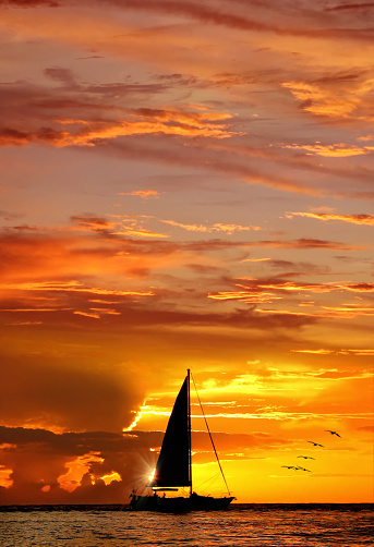 Orange color seascape during sunset in SiestaKey, Sarasota, Florida