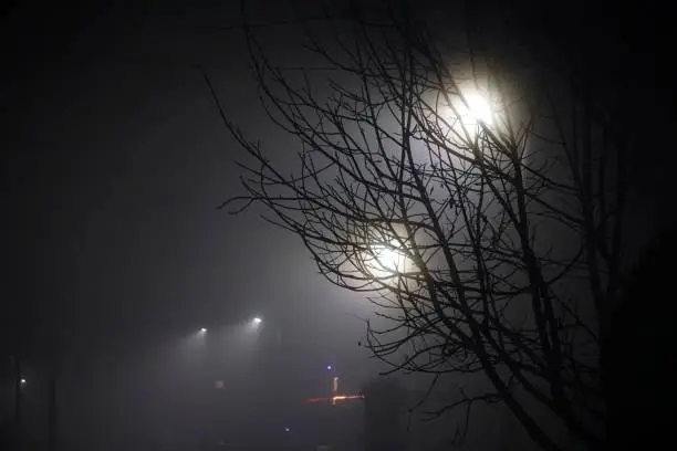 Photo of fog on street lights in the night. , winter trees, , fog, smoke, pollution concept