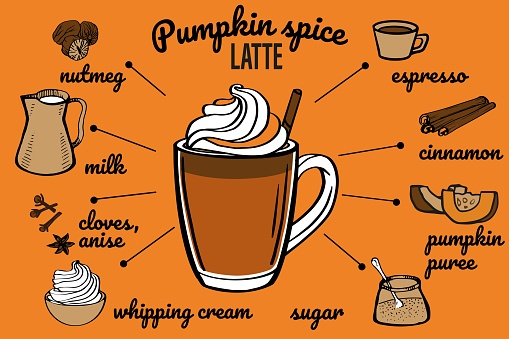 Pumpkin spice latte coffee recipe. Vector illustration with soft hot drink. Hand drawn glass cup with autumn beverage, doodle ingredients and spices. Sketch recipe card.