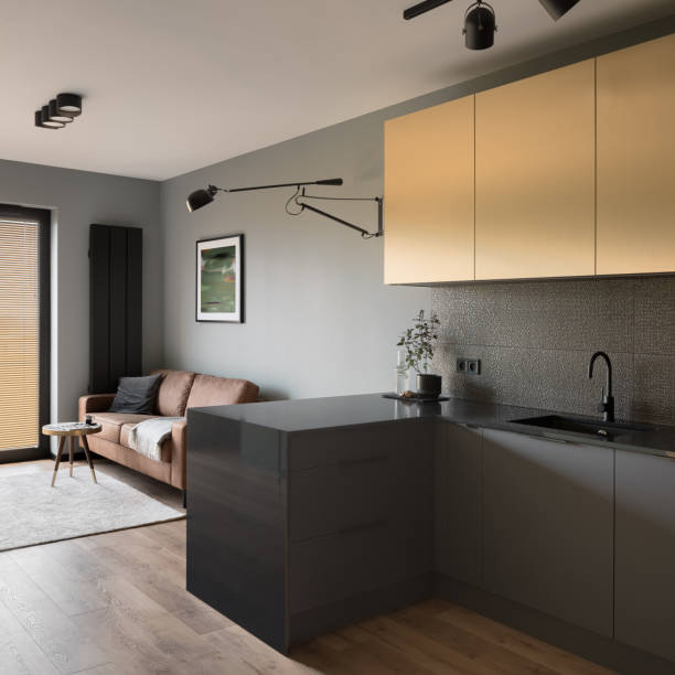 istock Contemporary kitchen open to drawing room 1454223337