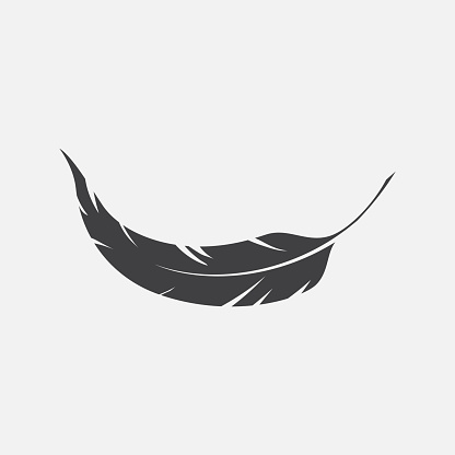 Single black bird feather icon or symbol. Vector illustration
