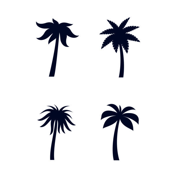 illustrations, cliparts, dessins animés et icônes de palmiers tropicaux - palm leaf frond leaf backgrounds