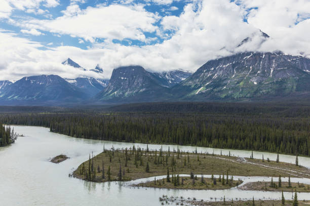 istock Photograph taken in Canada, Summer 2022 1454227434