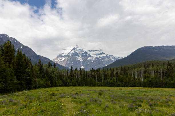 istock Mt Robson, British Columbia, Canada 1454227436