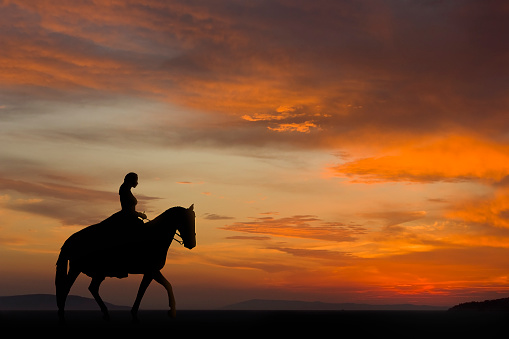 Silhouette of a girl on horseback