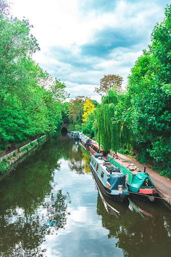 Sailing the Thames in Little Venice, London, with colorful barges under the trees on the sides