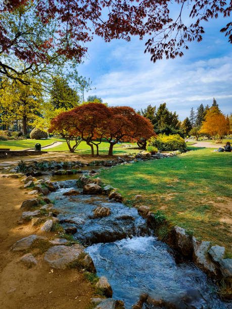 istock Vertical shot of a river in an autumn park 1454237577