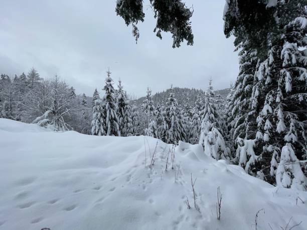 istock The snow covered heights above the Sankenbach valley. 1454238944
