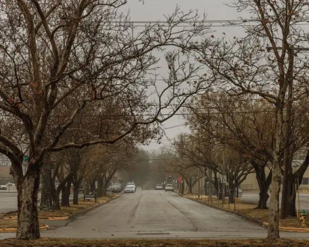 Photo of Road between trees on a foggy day in Missouri