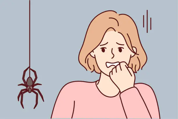 Vector illustration of Frightened woman puts hand to face sees large spider descending from ceiling along web. Vector image