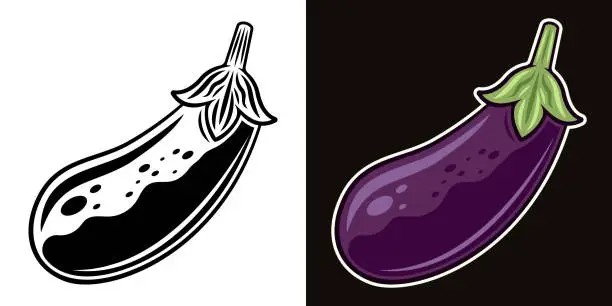 Vector illustration of Eggplant vector illustration in two styles black on white and colorful on dark background