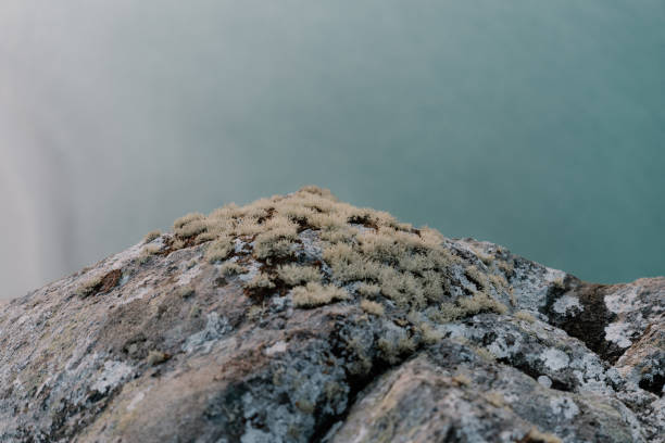 Waves splash onto the rocky cliffs and shoreline