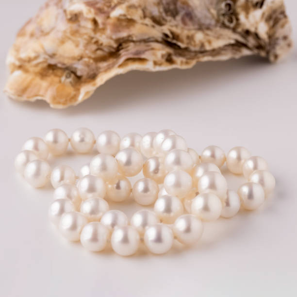 istock shell with pearls close-up in soft light colors 1454247891