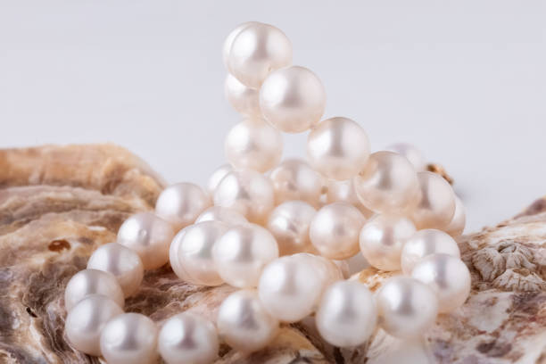 istock shell with pearls close-up in soft light colors 1454248458