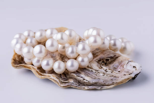 istock shell with pearls close-up in soft light colors 1454248470