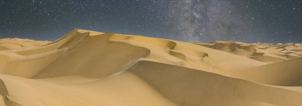 istock Namibia, the Namib desert 1454248725