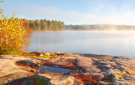 Landscape of rocky shoreline, fall colors and fog in Ostler Lake Proviincial Park, Ontario, Canada