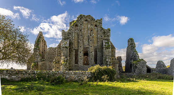 Hore Abbey, Ireland’s last medieval Cistercian monastery, was founded in 1272 in County Tipperary, just west of Cashel. It was colonised by monks from Mellifont Abbey and comprised a cruciform church, tower, square cloister, and living quarters.