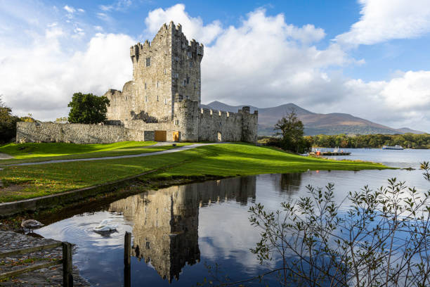 ross castle es una casa torre del siglo 15 y mantener en el borde de lough leane, en el parque nacional de killarney, condado de kerry, irlanda - lakes of killarney fotograf�ías e imágenes de stock