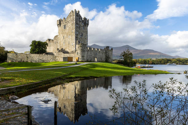 Ross Castle is a 15th-century tower house and keep on the edge of Lough Leane, in Killarney National Park, County Kerry, Ireland Ross Castle was built in the late 15th century by local ruling clan the O'Donoghues Mór (Ross), though ownership changed hands during the Second Desmond Rebellion of the 1580s to the MacCarthy Mór. dingle bay stock pictures, royalty-free photos & images