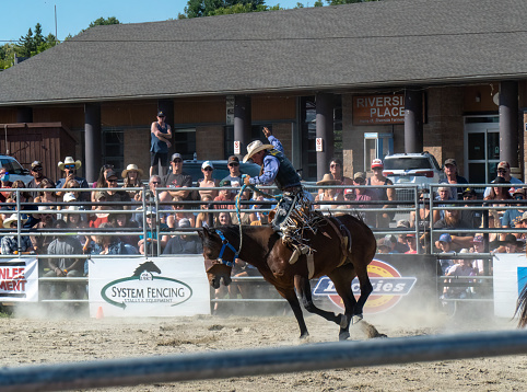 New Liskeard, Ontario, Canada - August 13, 2022 : A bronc riding cowboy competing at The Ram Rodeo in New Liskeard, Ontario.