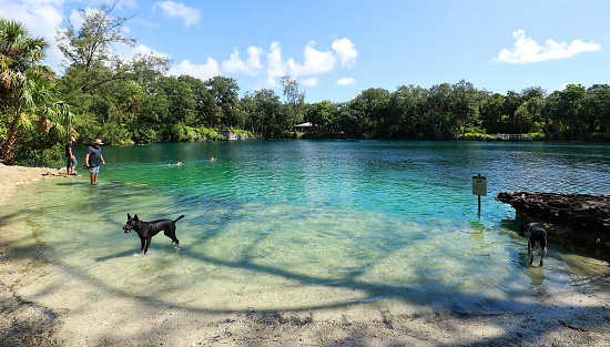 Fort Lauderdale, Florida, USA - June 28, 2021:  Dog swimming area in Snyder Park, a City of Fort Lauderdale 93 acres public park, also known as Bark Park.