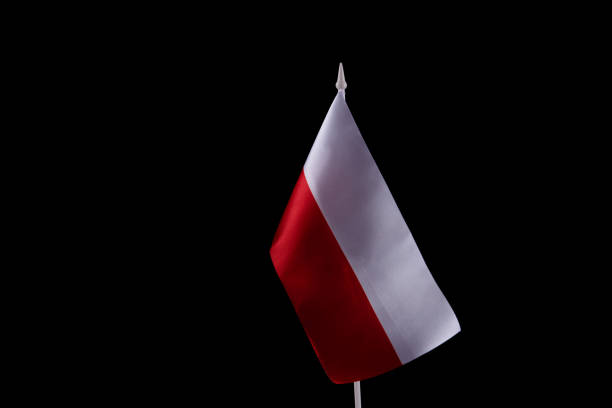 istock Poland flag on the dark background. Copy space. 1454254829