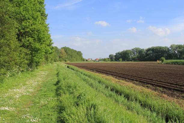 istock a path in green forest next to a worked field in springtime 1454254868
