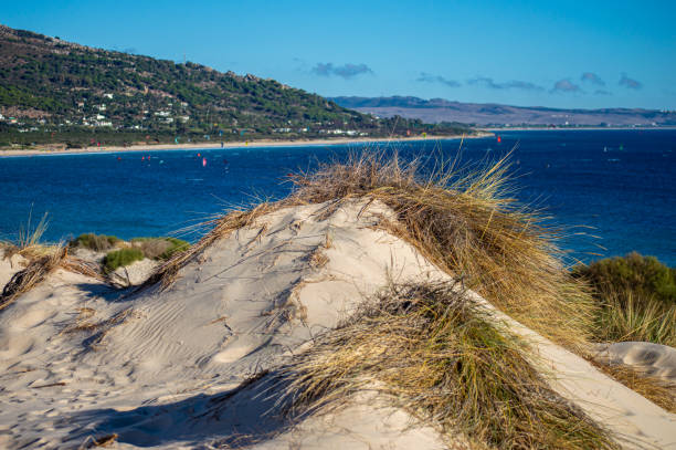 istock Landscape of Valdevaqueros beach, Gibraltar Strait, Spain 1454256448