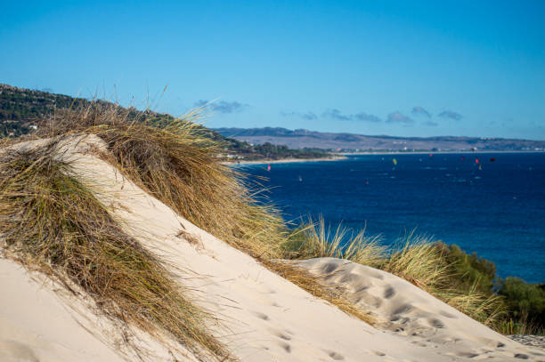 istock Landscape of Valdevaqueros beach, Gibraltar Strait, Spain 1454256450