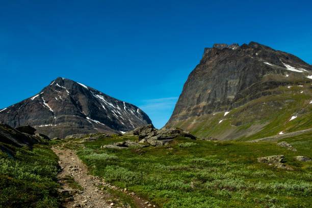 istock Path surrounded by beautiful mountains against a blue sky on a sunny day 1454256601