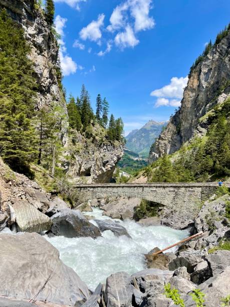 istock Swiss Guest 11 1454258525