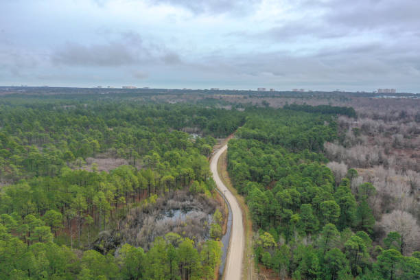 istock Road in the Woods 1454264859