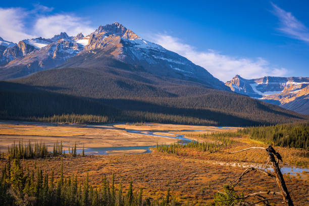 istock Canandian Rockies just off the Icefields Parkway 1454265065