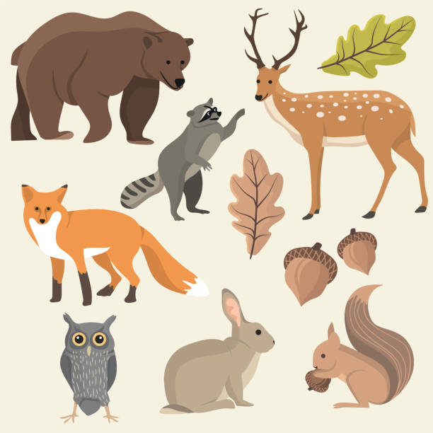 woodland kreaturen - artenschutz stock-grafiken, -clipart, -cartoons und -symbole