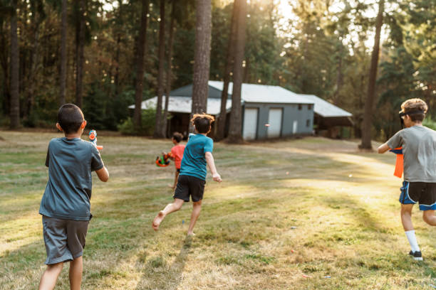 istock Playful boys having nerf gun fight in back yard 1454268909