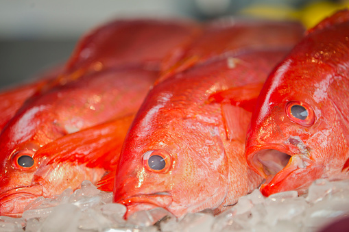 Gulf Seafood Market Pensacola, FL in United States, Florida, Pensacola