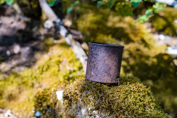 Photo of a rusty tin can lies on green moss in nature. catastrophic pollution of the environment. Garbage in nature