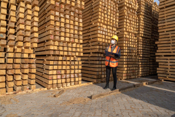istock The female Warehouse worker counts the quantity in the open wood warehouse 1454279183