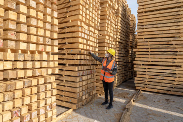 istock The female Warehouse worker counts the quantity in the open wood warehouse 1454279184