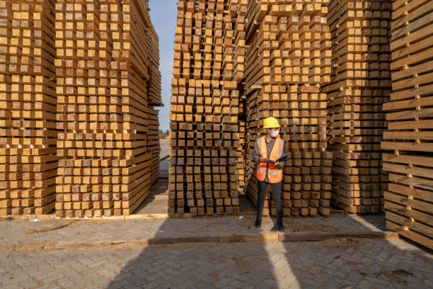 istock The female Warehouse worker counts the quantity in the open wood warehouse 1454279208