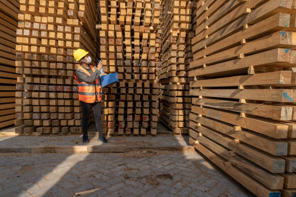 istock The female Warehouse worker counts the quantity in the open wood warehouse 1454279209