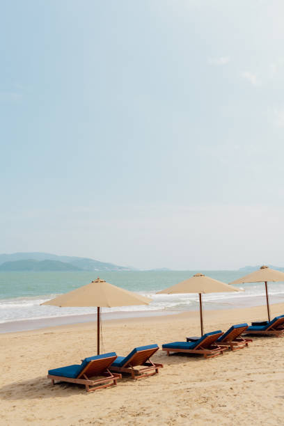 plaża nha trang i leżak w wietnamie - tanning bed brown relaxation resting zdjęcia i obrazy z banku zdjęć