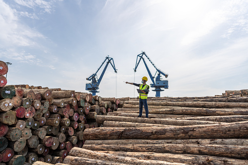 A male dockworker works in the port's timber distribution center