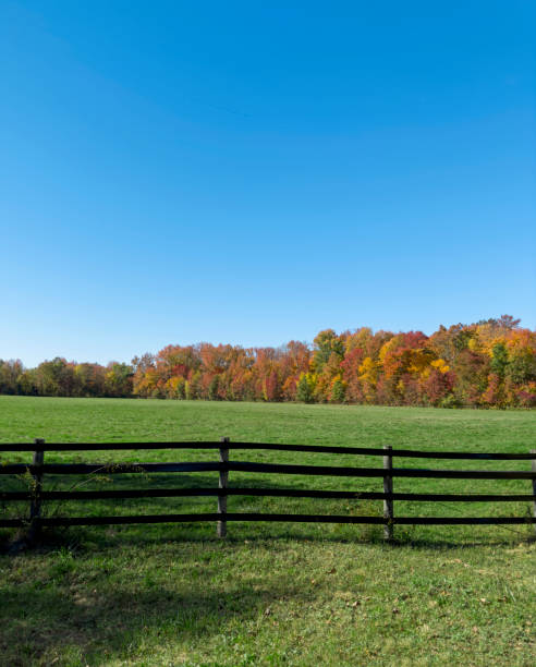 istock Autumn in upstate New York 1454281006