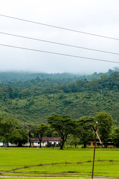istock Natural landscape with Field and mountains, Selective Focus 1454282083