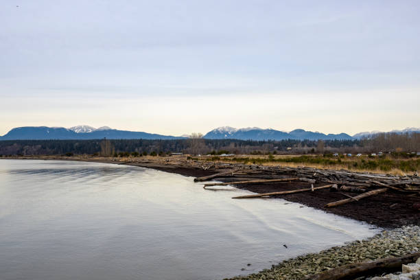 Iona Beach Park in winter