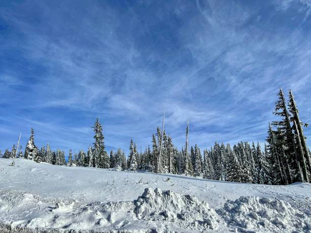 istock Mt. Hood, Oregon 1454286841