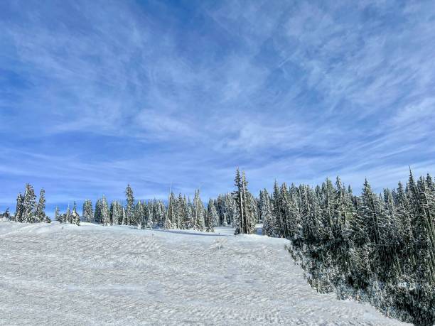 istock Mt. Hood, Oregon 1454286882