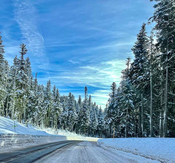 istock Road Trip - Mt. Hood, Oregon 1454286892
